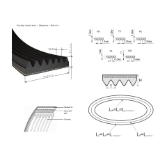 Ремень 1270 J5 Megadyne, Samsung 6602-001072, Indesit C00194425 (полиуретановый) 2
