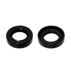 Сальник 25*42*10 мм